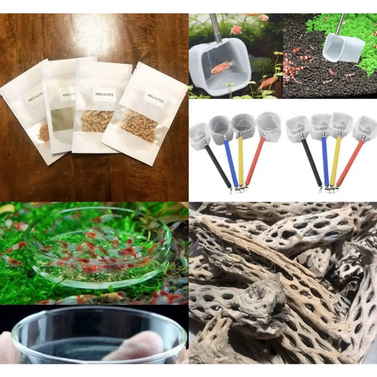 Food combo Pack + Cholla + Feeding Dish + 3d Net