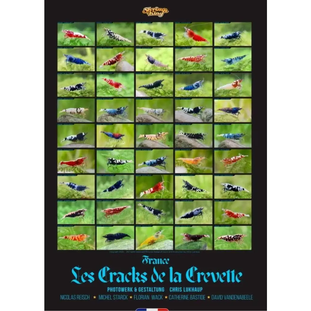 France Shrimp Poster