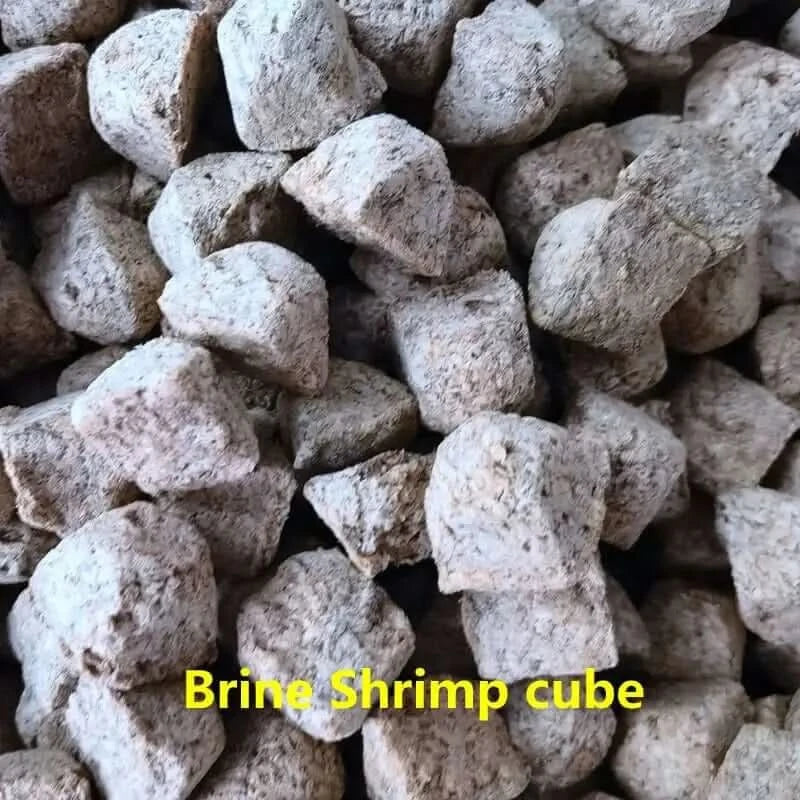 Brine shrimp cubes.