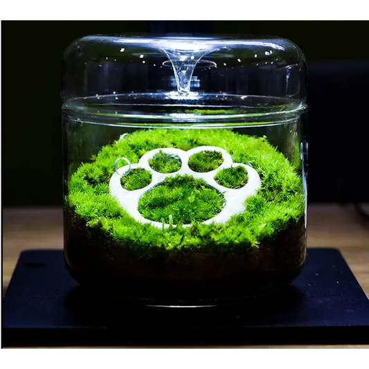 Geometric Terrarium 12cmx12cm