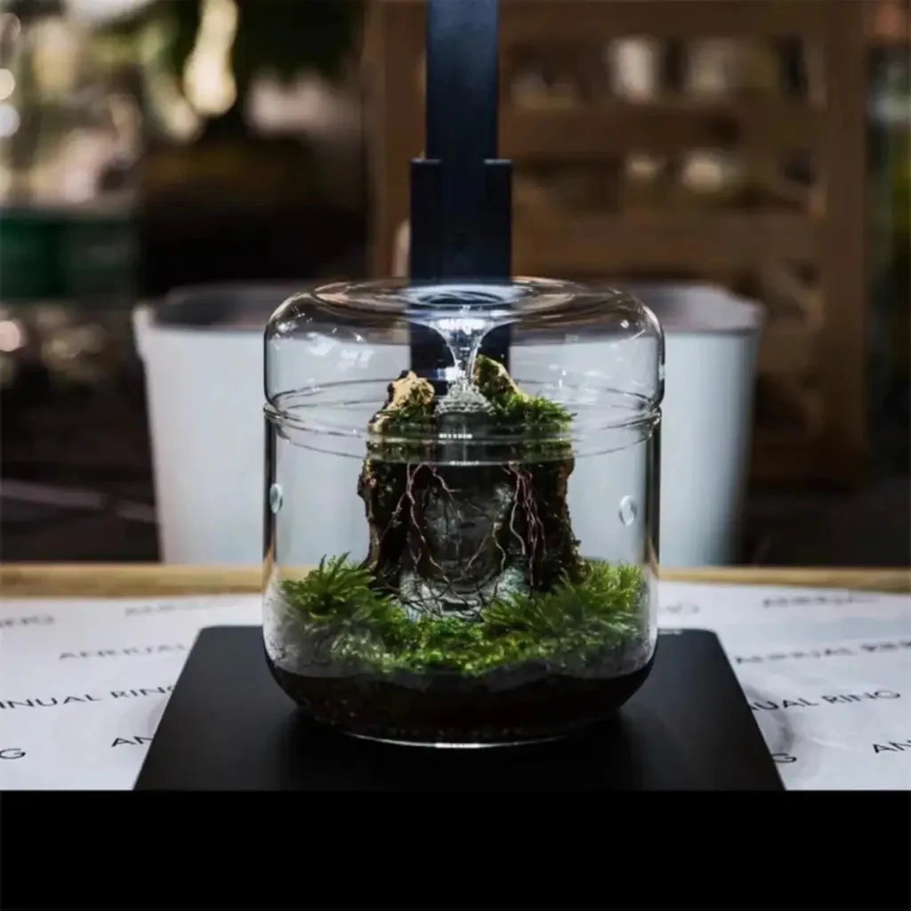 Geometric Terrarium 12cmx12cm