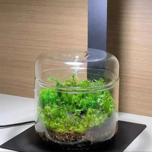 Geometric Terrarium 15cmx16cm