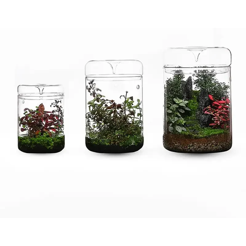 Geometric Terrarium 15cmx16cm