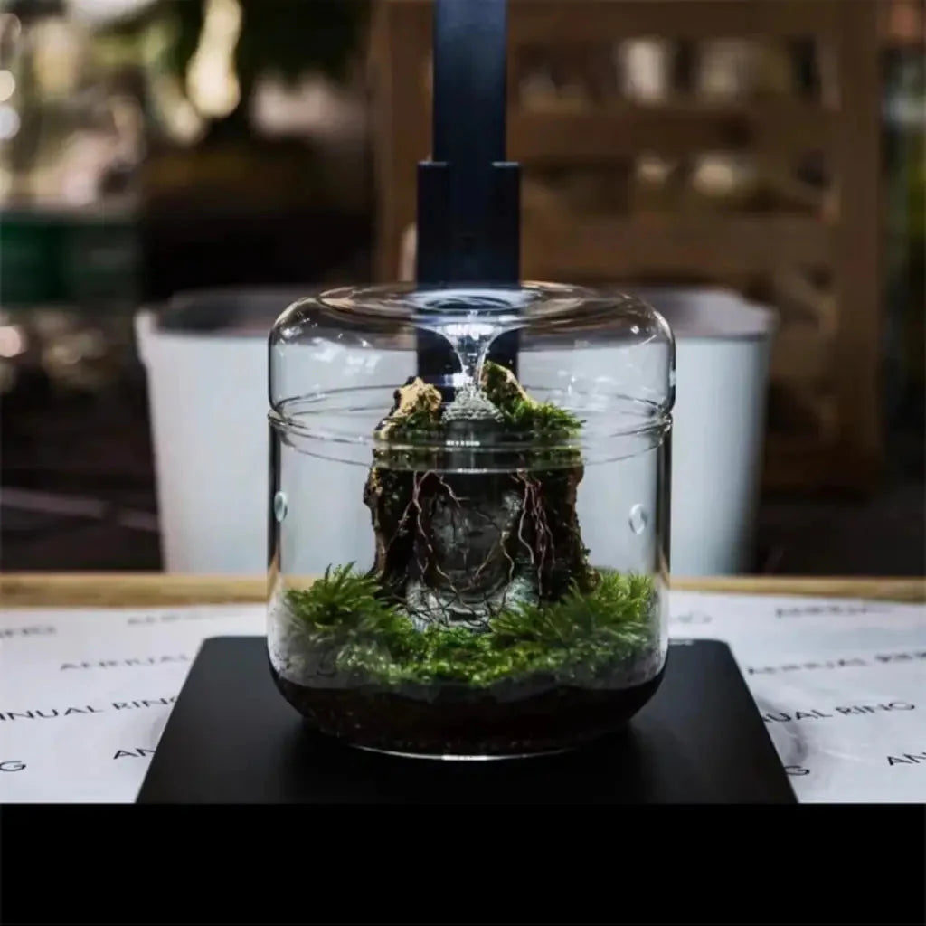 Geometric Terrarium 15cmx16cm