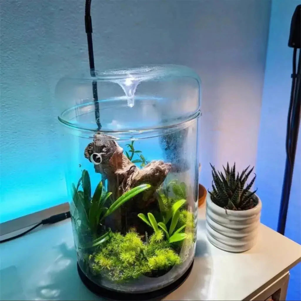 Geometric Terrarium 15cmx23cm