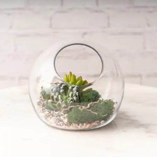 Glass Fish Bowl Vase Cut Out Top Clear (20Dx17.5cmH)