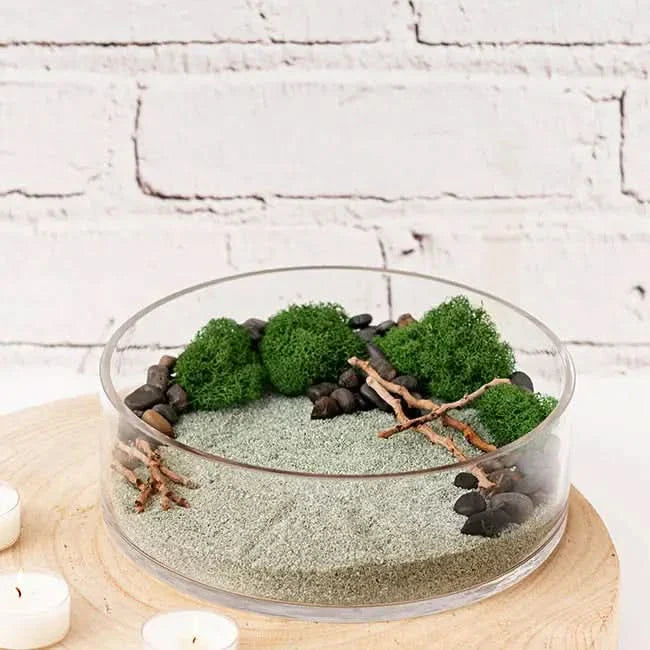 Zen garden terrarium.
