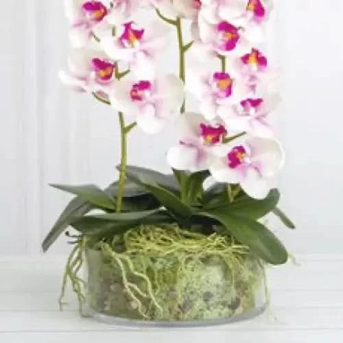 White and pink orchid arrangement.