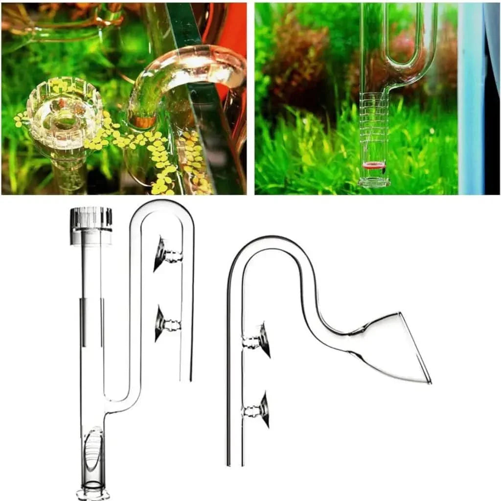 Glass CO2 drop checker.