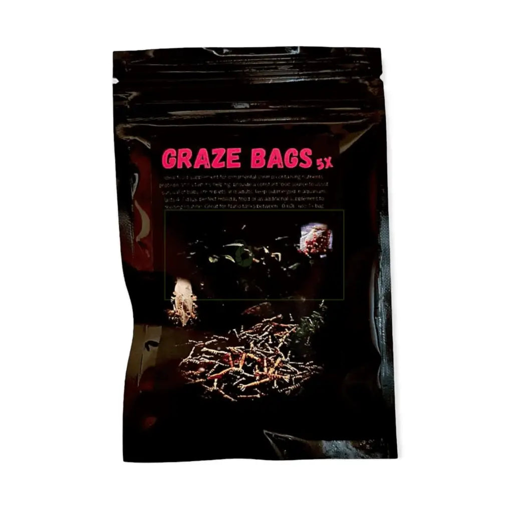 Graze Bags ( Pack of 5 )
