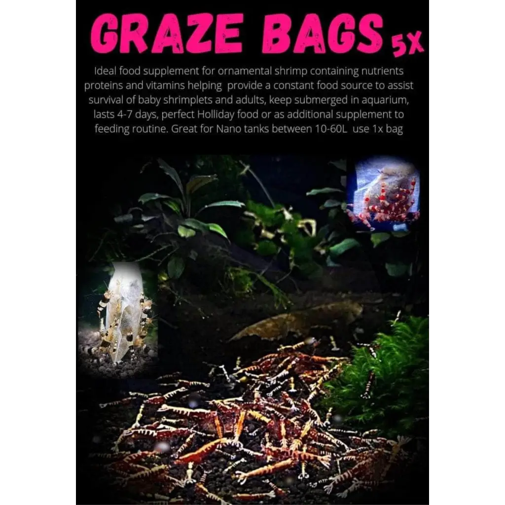 Graze Bags ( Pack of 5 )