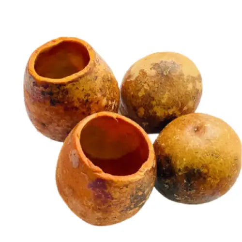 Four rustic, earth-toned ceramic pots with rough, weathered surfaces and open tops.