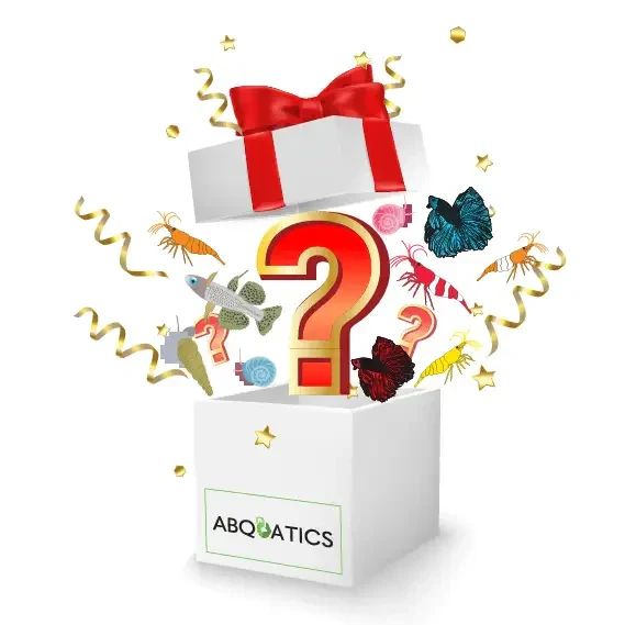 Aquatic mystery box.