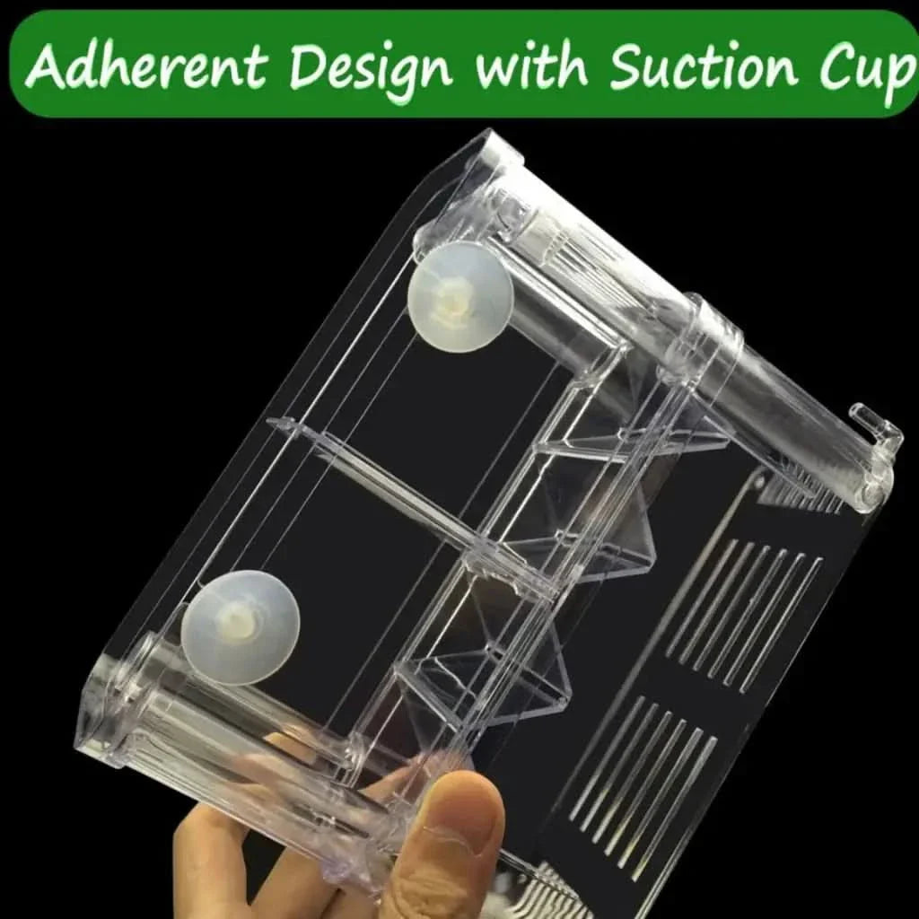 Clear plastic fish breeding box with suction cups.
