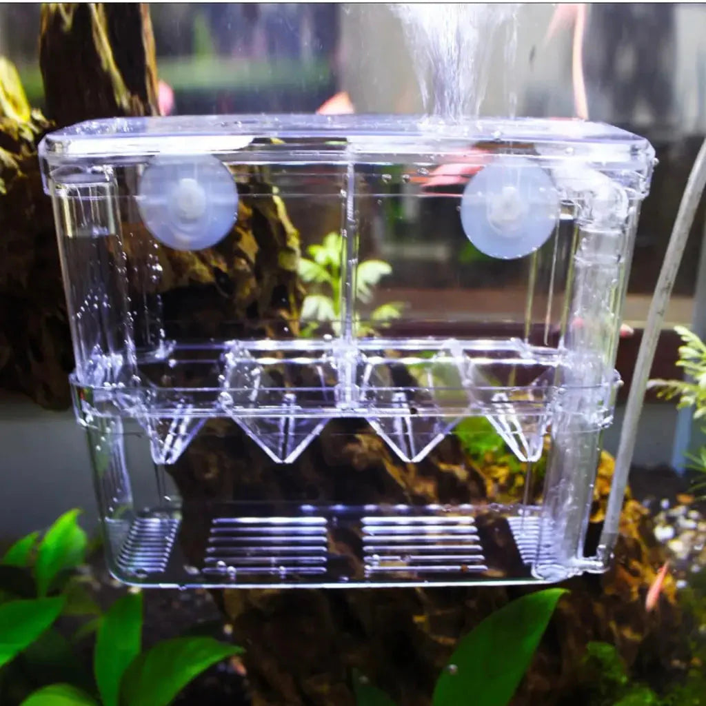 Guppy Fish Breeder For Aquarium -Double Large BR-4