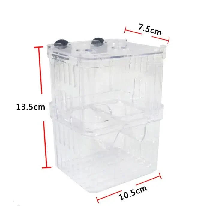 Clear plastic fish breeding box with dimensions.