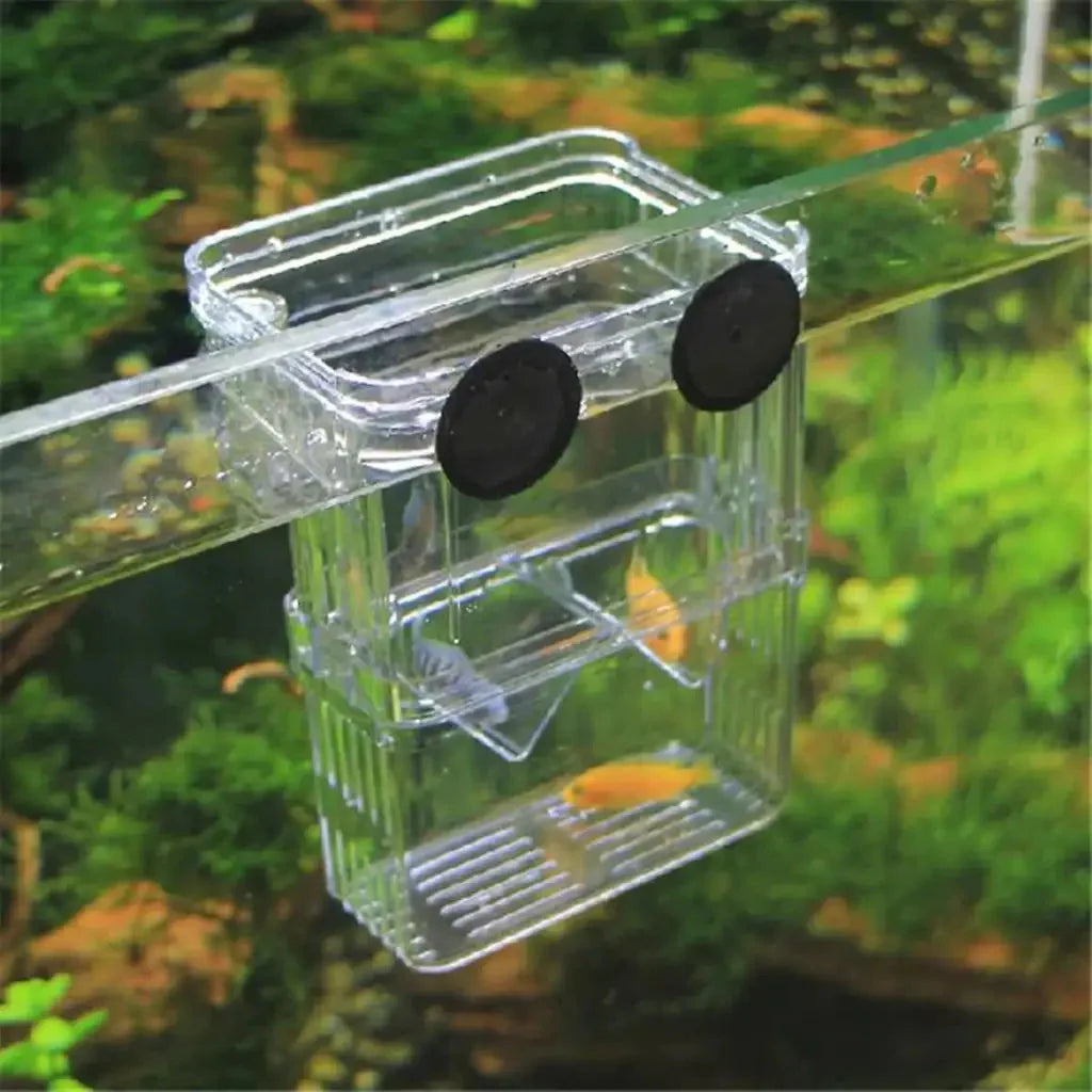 Guppy Fish Breeder For Aquarium - Single Small BR-3