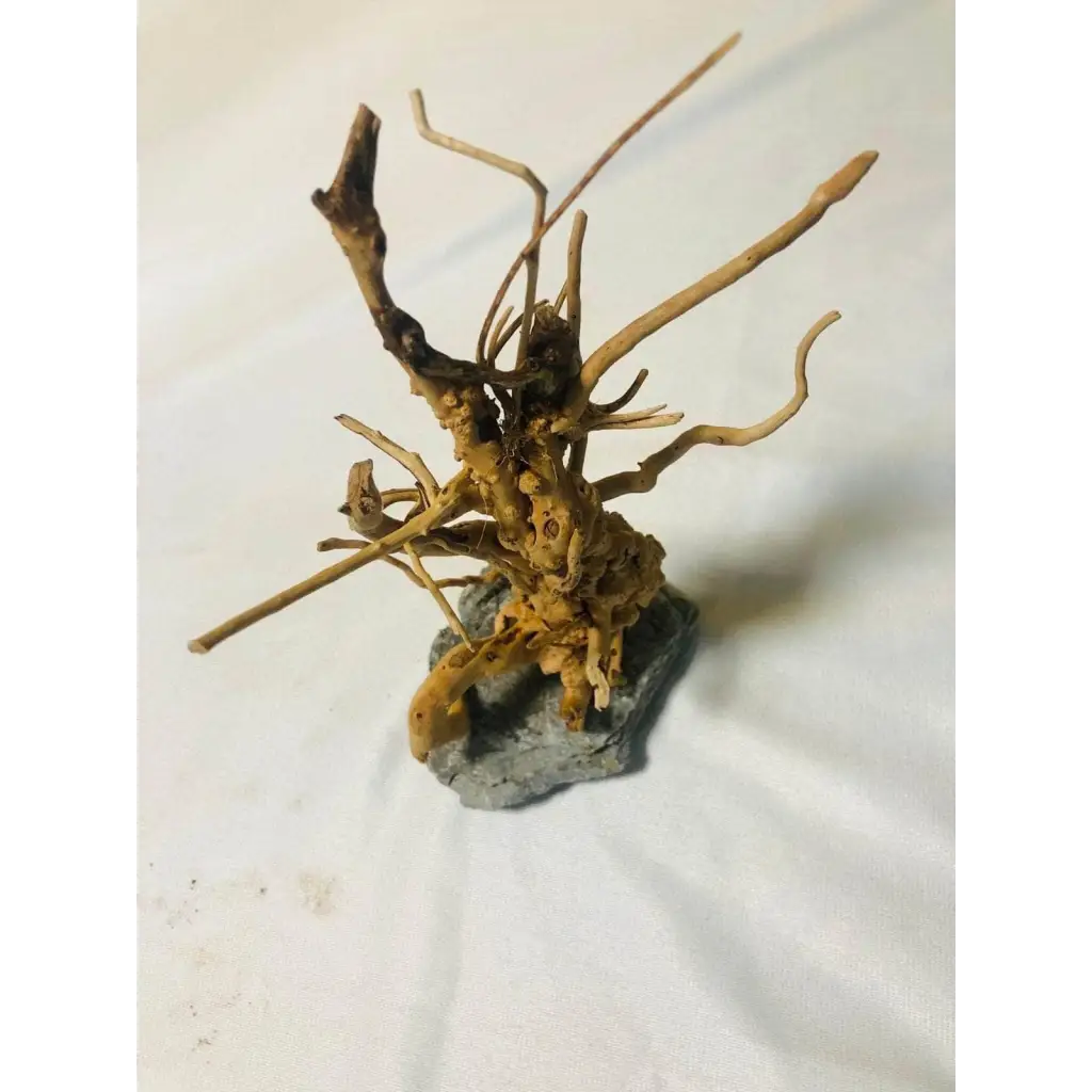 Handmade Tree For Nano Tanks