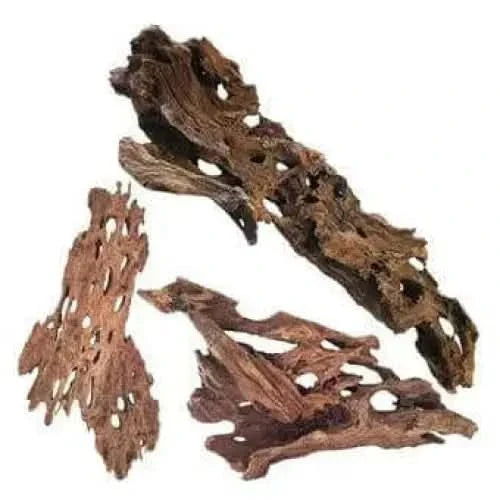Porous, brown driftwood pieces.