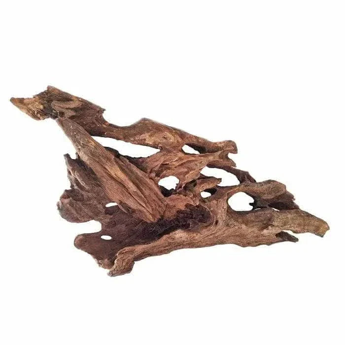 Intricate, porous driftwood.