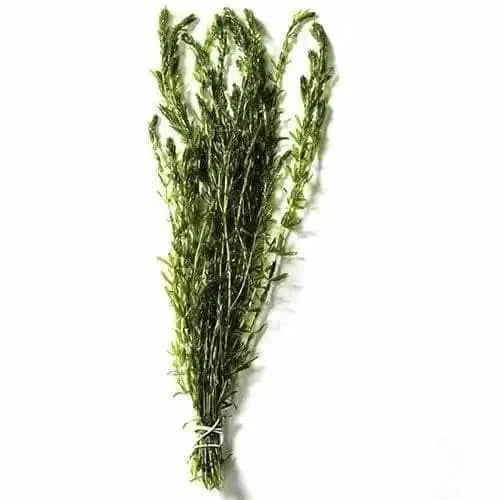 Bundled fresh rosemary.