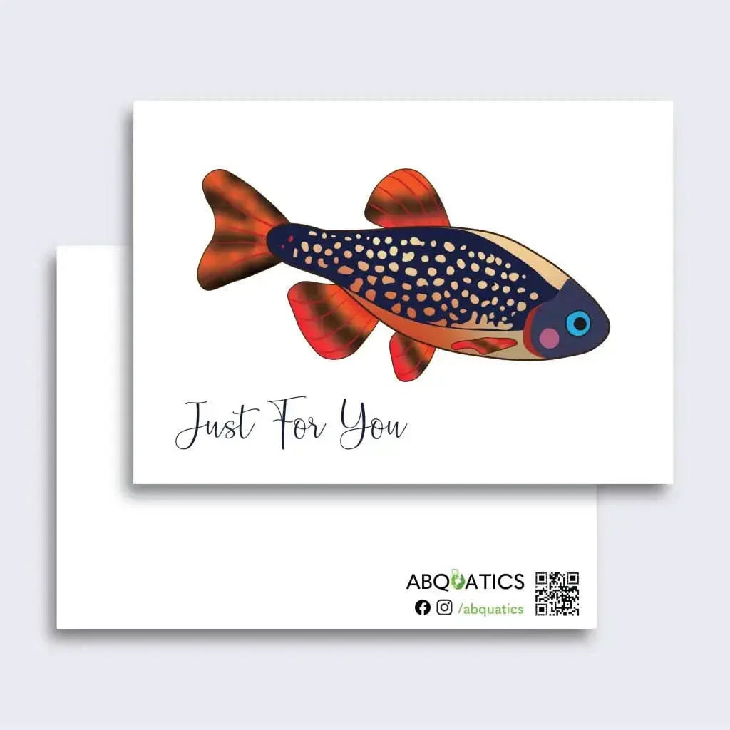 Greeting card with colorful fish.