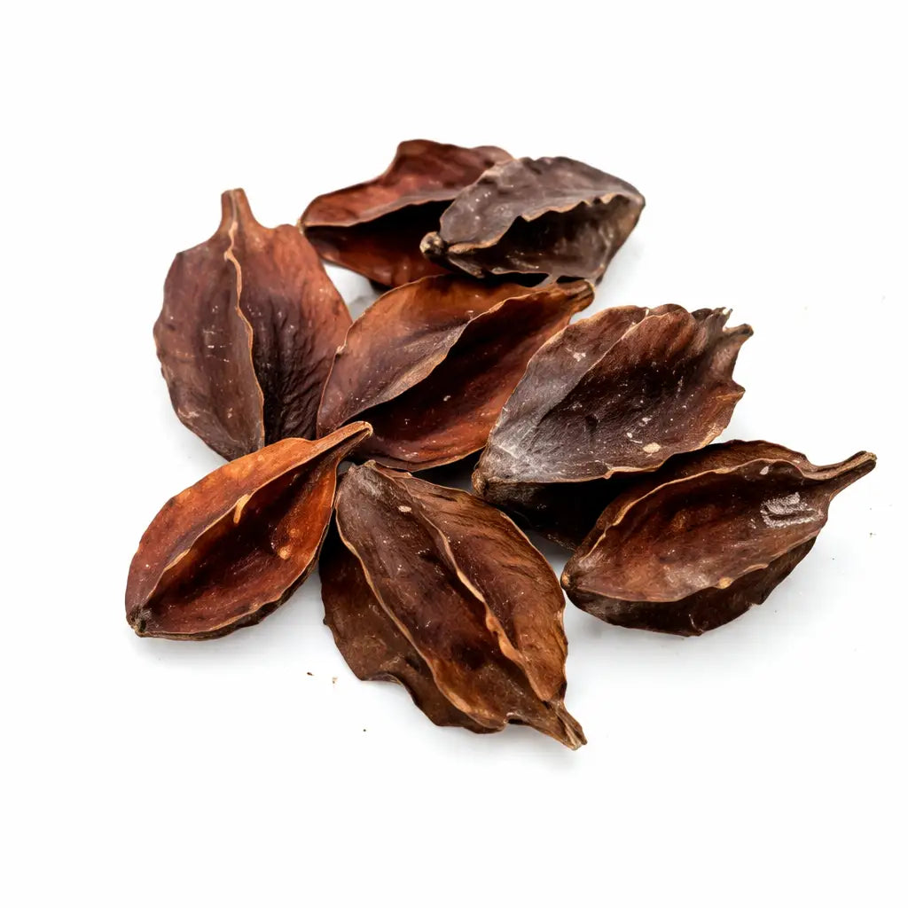 Dried, dark brown seed pods with a wrinkled texture and slightly curled edges.