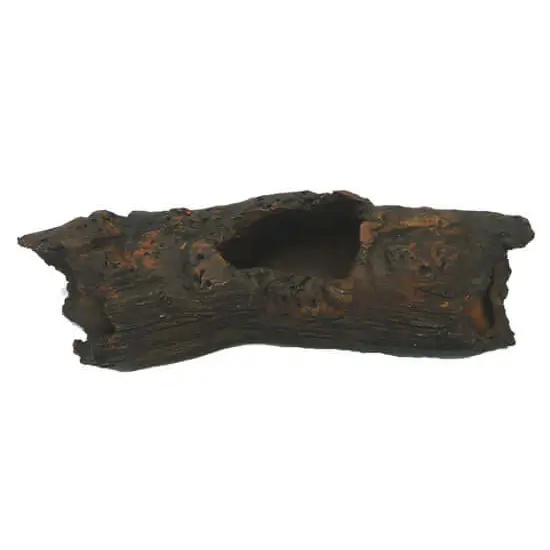 Large Catfish PLECO Log Size: 23x6x7cm CH6249