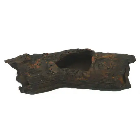 Large Catfish PLECO Log Size: 23x6x7cm CH6249