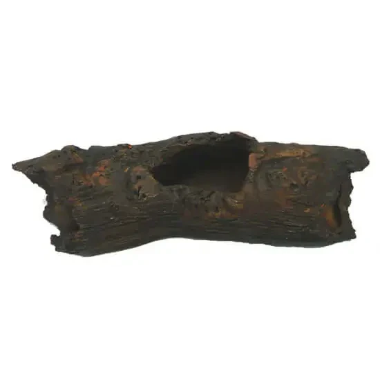 Hollowed, dark brown log.