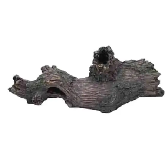 Large Tree Pleco Catfish Bristlenose Log Size: 33x12x14cm