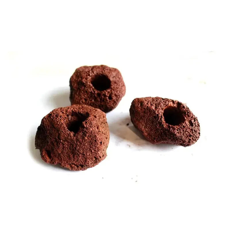 Lava Rock Plant Holder