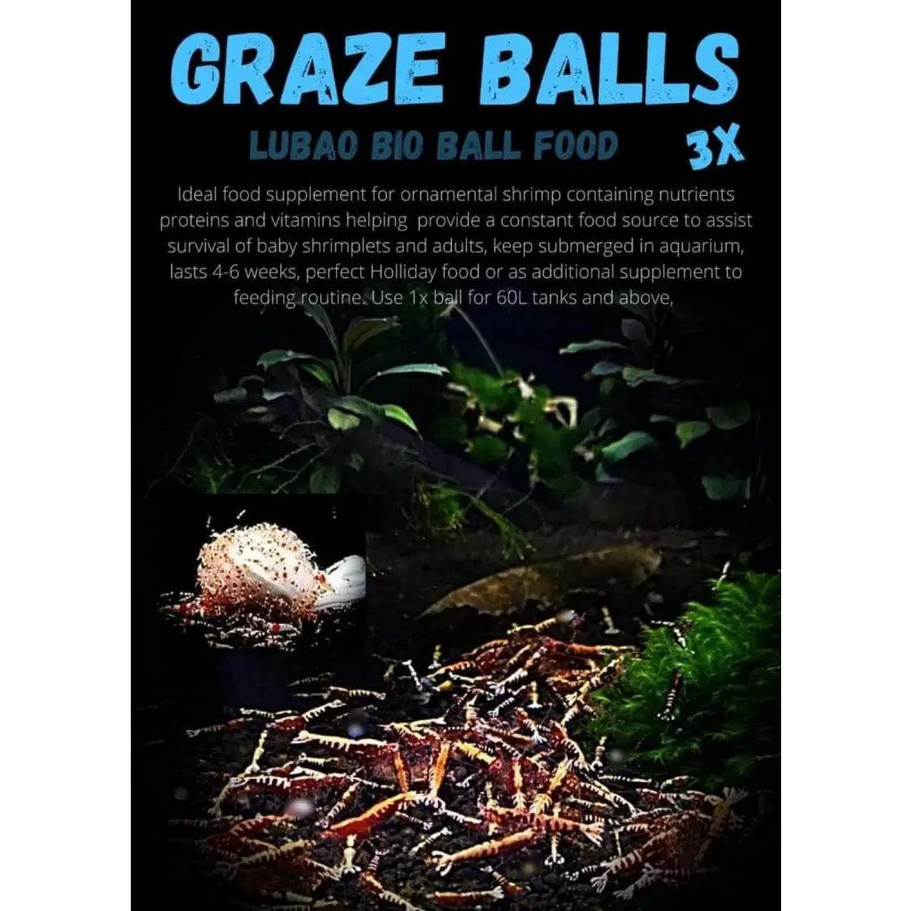 Lubao Graze Balls ( Pack of 3 )