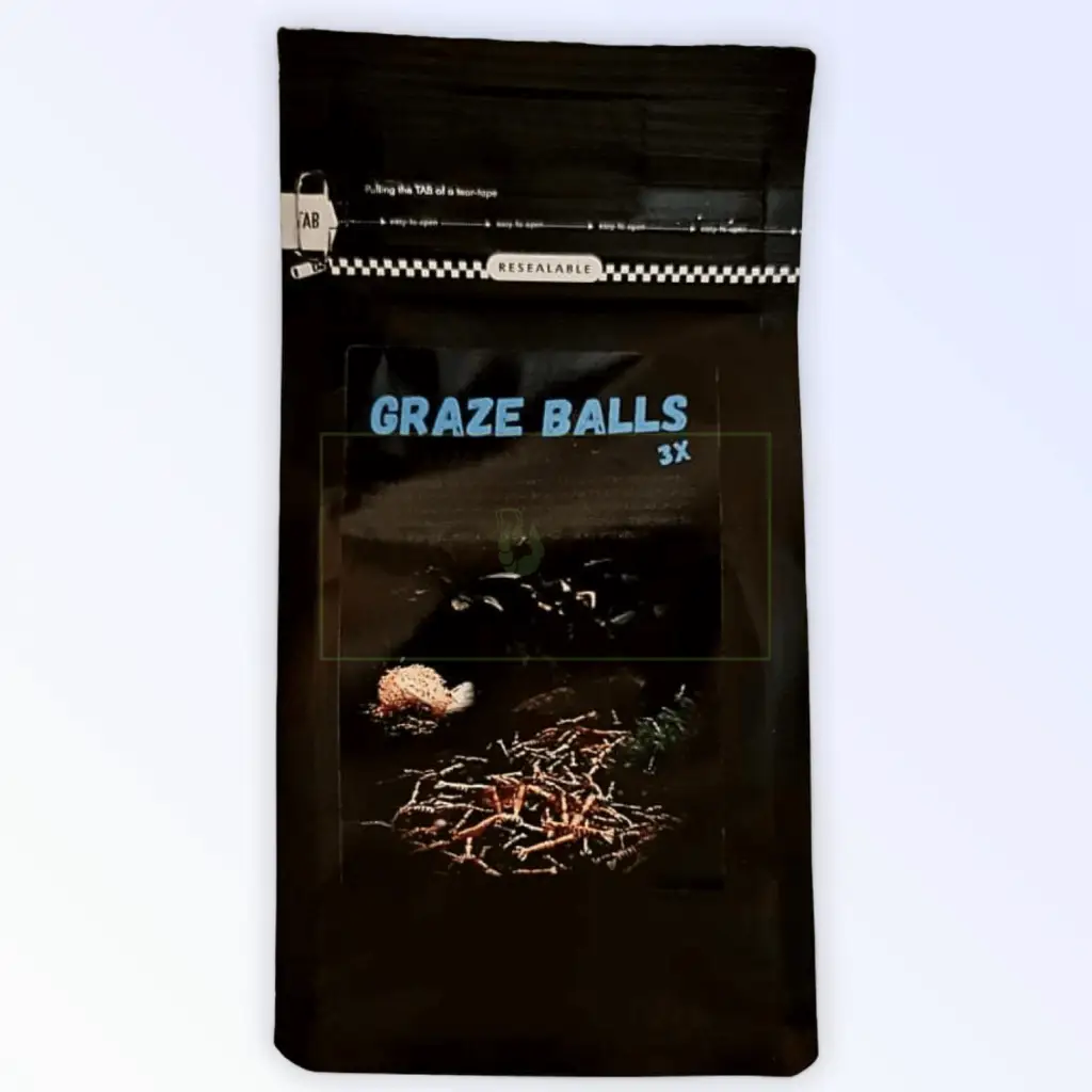 Lubao Graze Balls ( Pack of 3 )