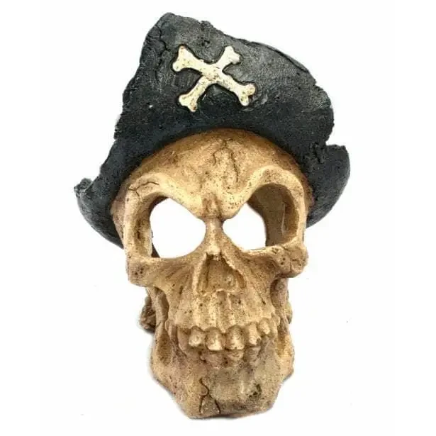 Pirate skull decoration.