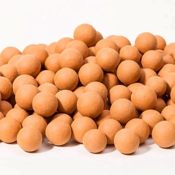 Pile of round, tan-colored candies.