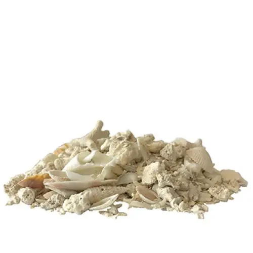Pile of crushed seashells.