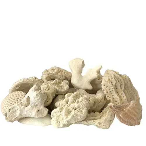 Pile of porous, off-white coral pieces.
