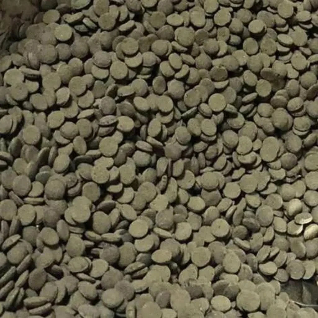 Pile of small, round, brown pellets.