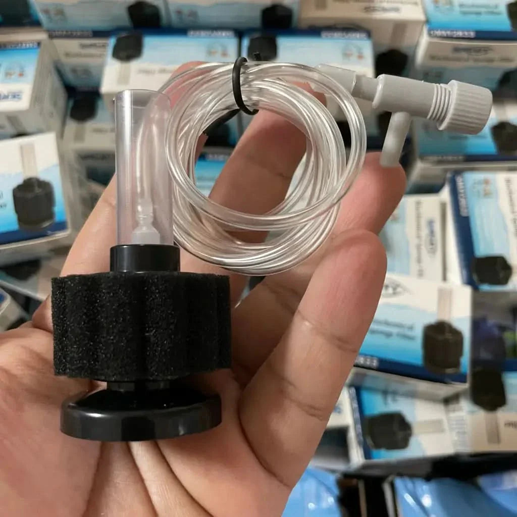 Sponge filter with air hose.