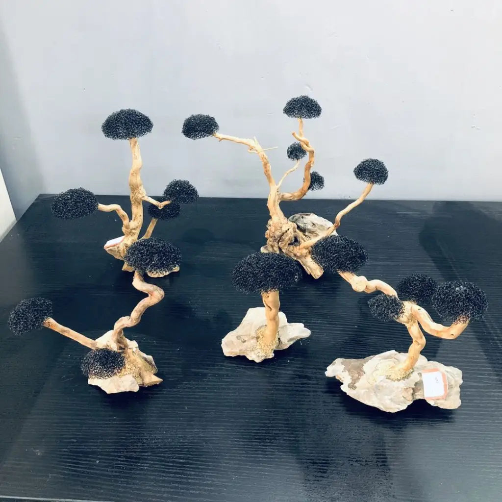Mini Driftwood Tree (Moss Not Included) 5 Heads