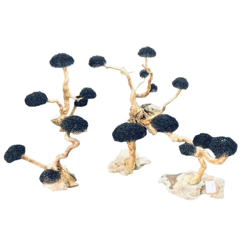 Mini Driftwood Tree (Moss Not Included) L(13A,B)