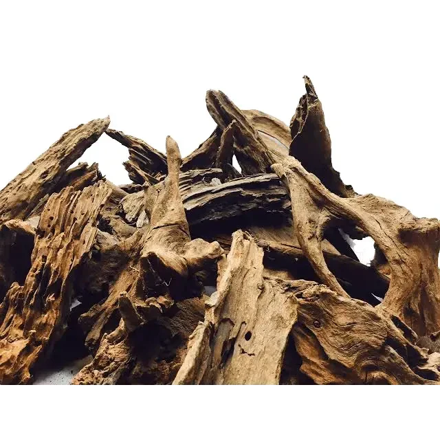 Intricate driftwood pile.