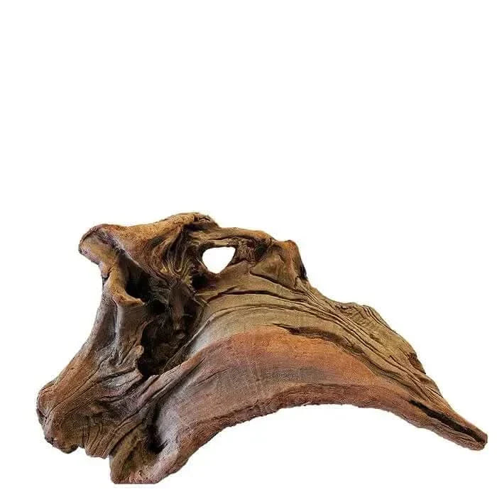 Brown driftwood with a hole.
