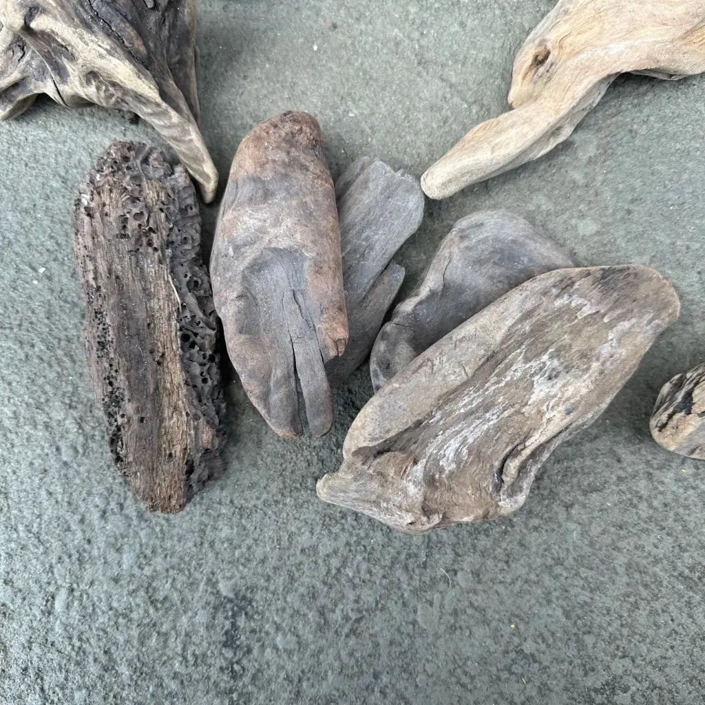 NZ Exotic Wood Nano 10 - 12cm