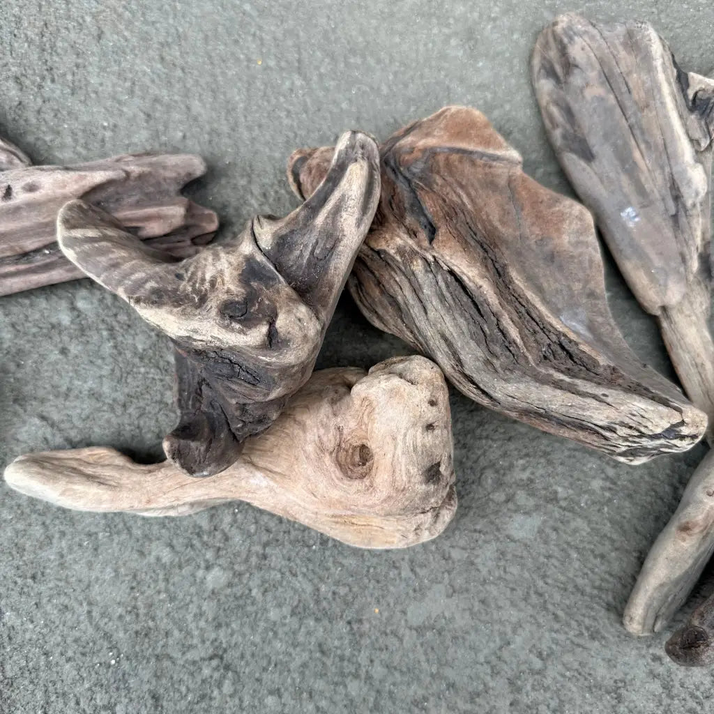 NZ Exotic Wood Nano 10 - 12cm