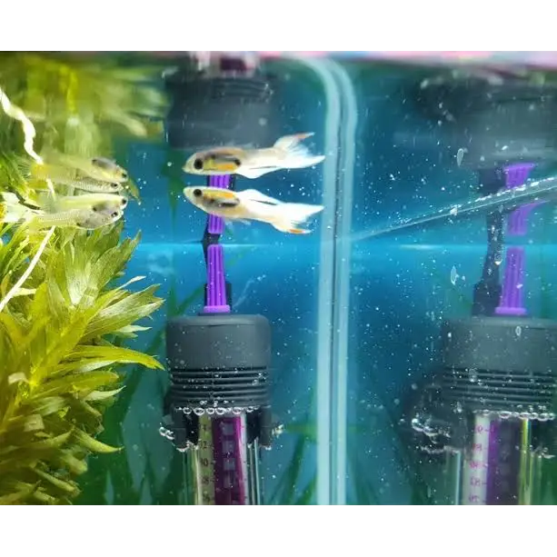 Aquarium heater with fish.