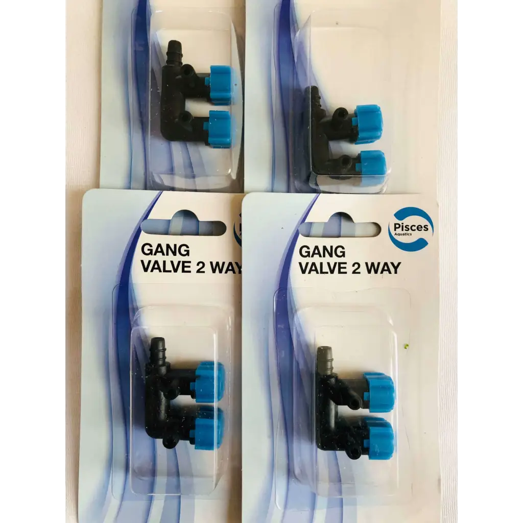 PA Gang Valve 2 Way 1pk