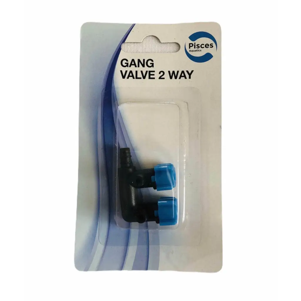 PA Gang Valve 2 Way 1pk
