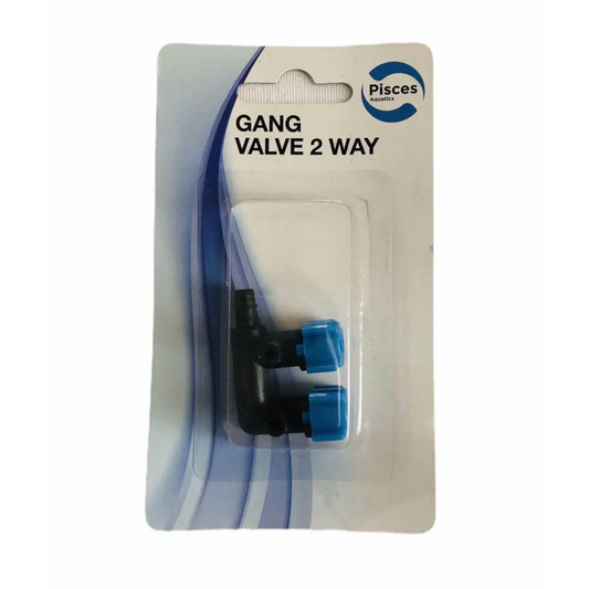 PA Gang Valve 2 Way 1pk